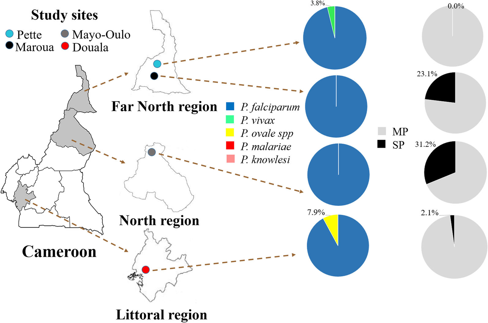 Fig. 3