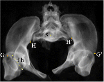 Fig. 3