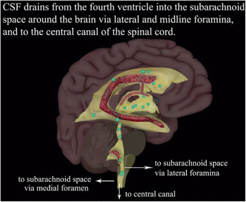 Fig. 9