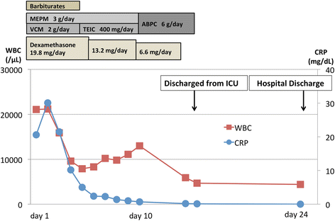 Fig. 2