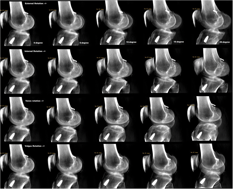 Fig. 2