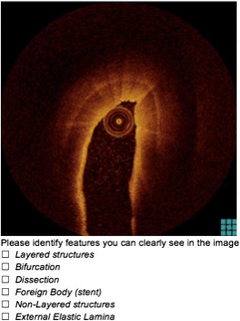 Fig. 8