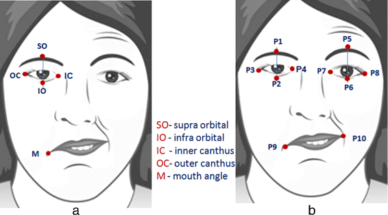 Fig. 5