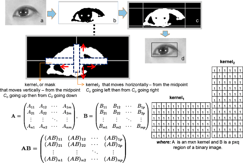 Fig. 6