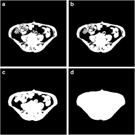 Fig. 4