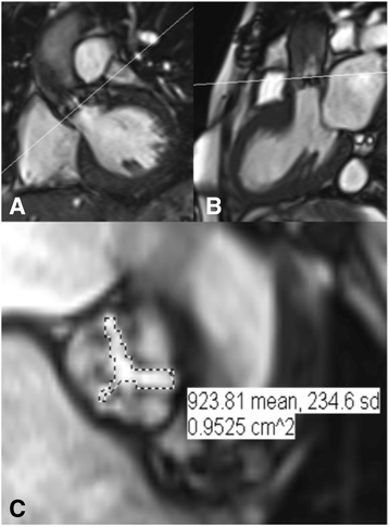 Fig. 7