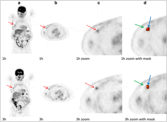 Fig. 3