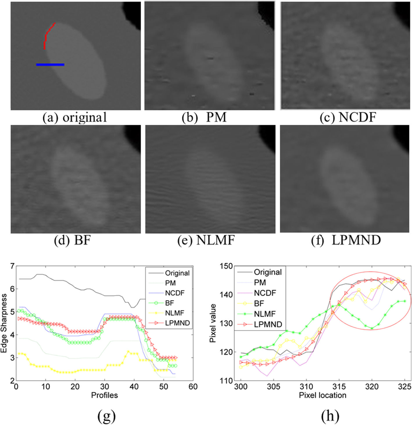 Fig. 10