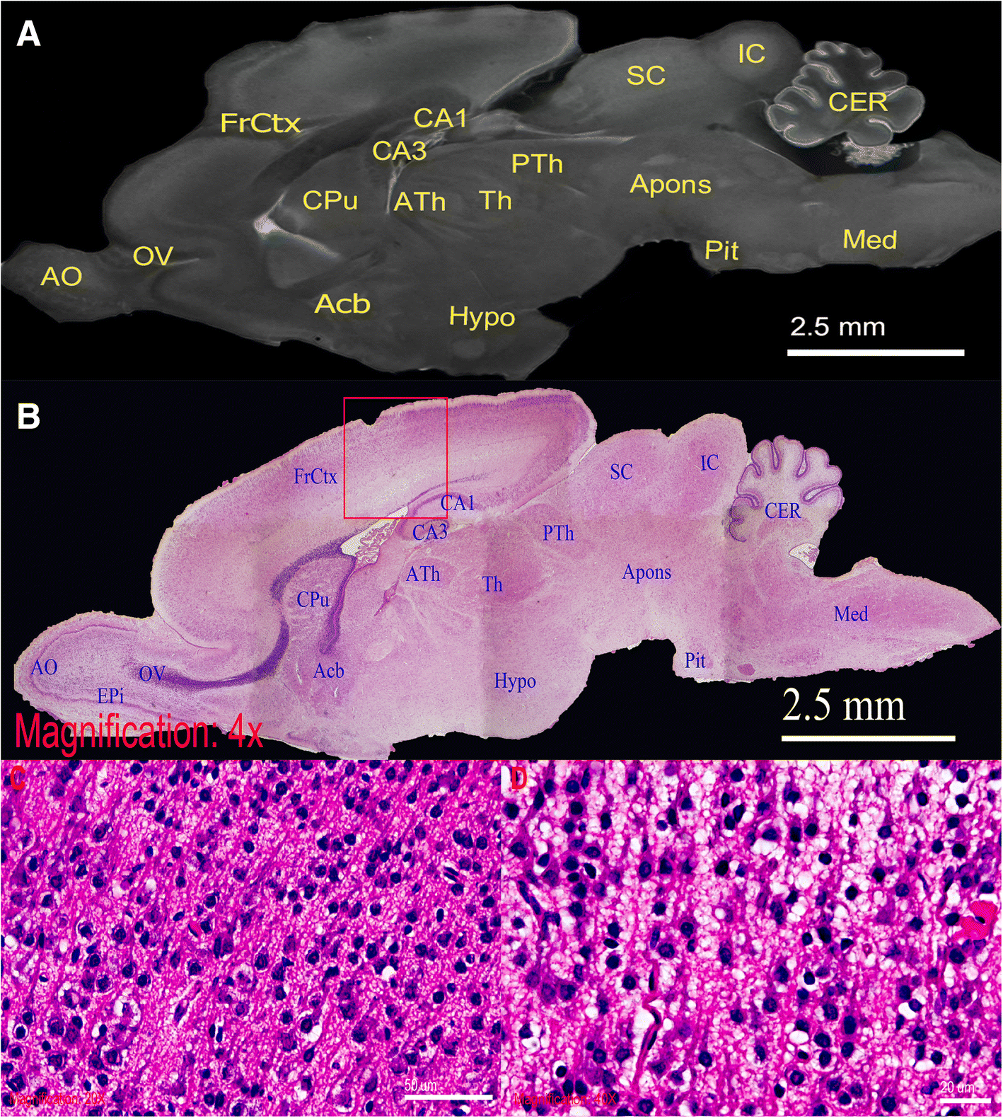 Fig. 4