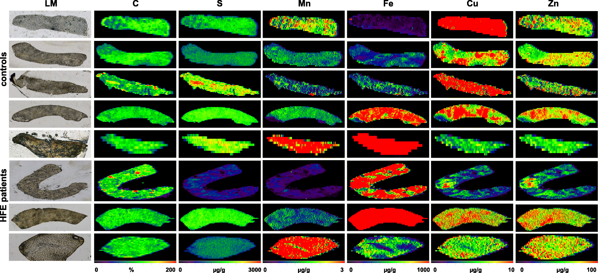 Fig. 4