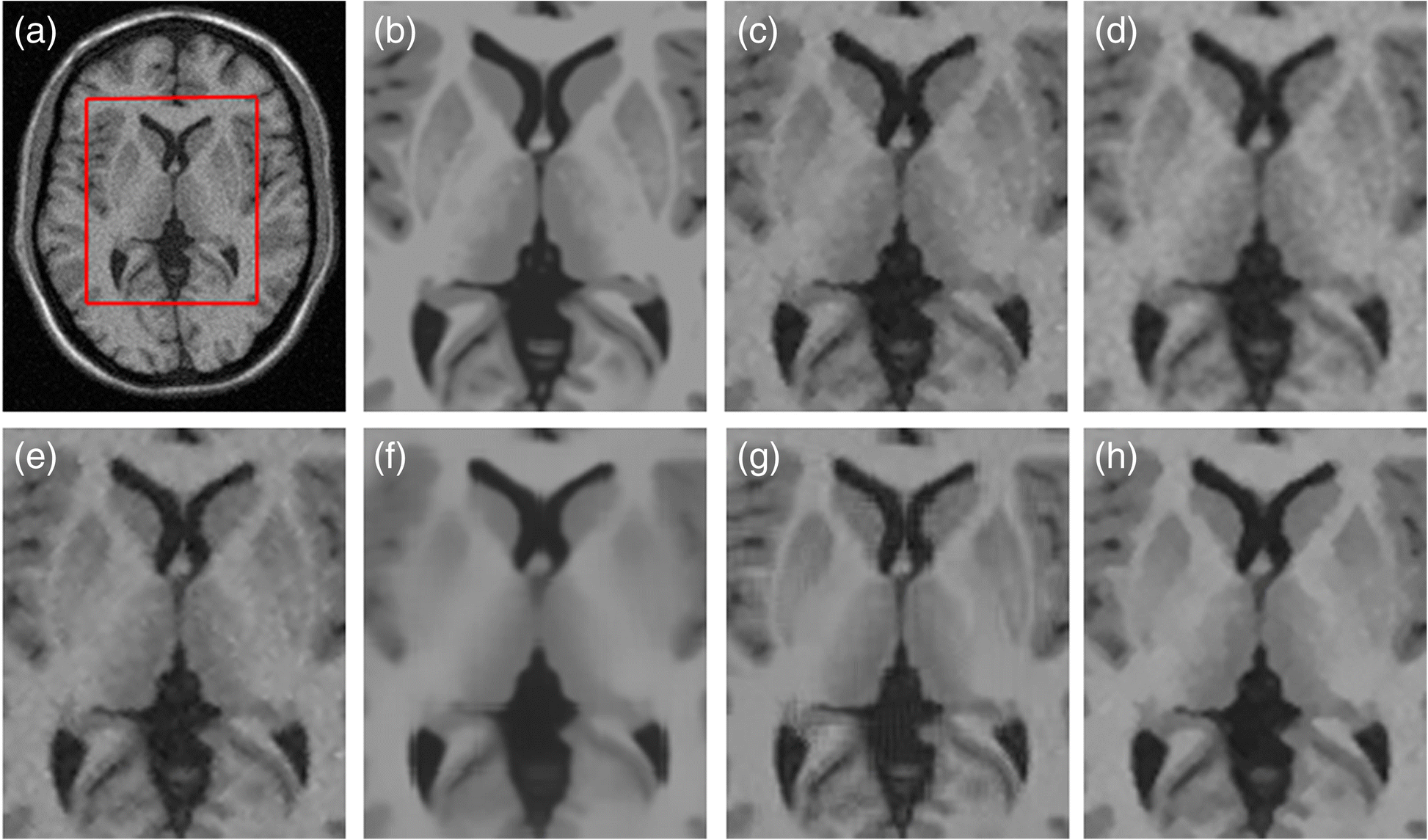 Fig. 5