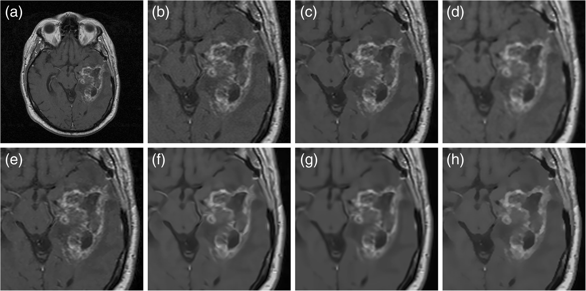 Fig. 7