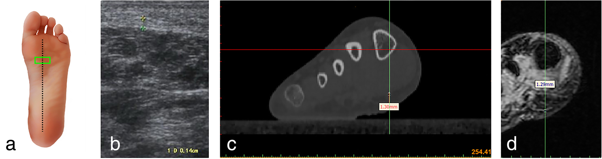 Fig. 6