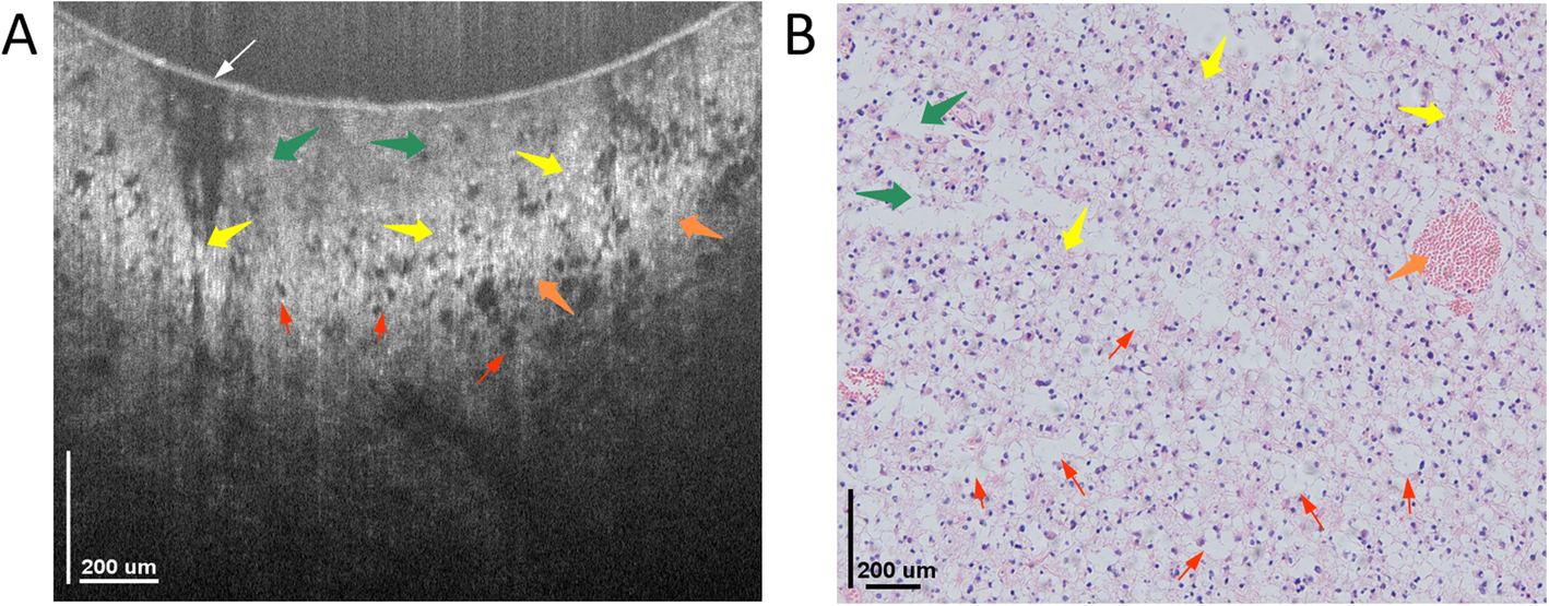 Fig. 7