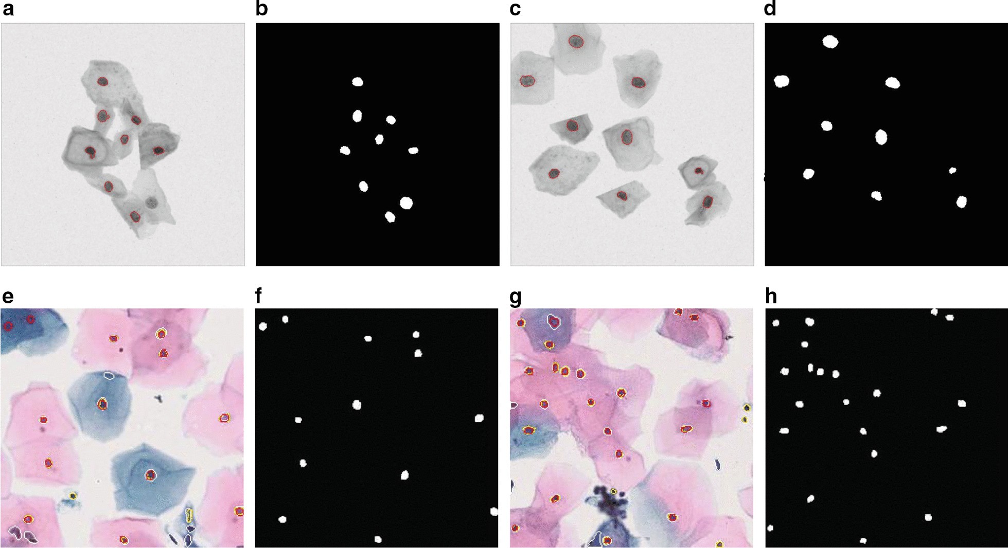 Fig. 2