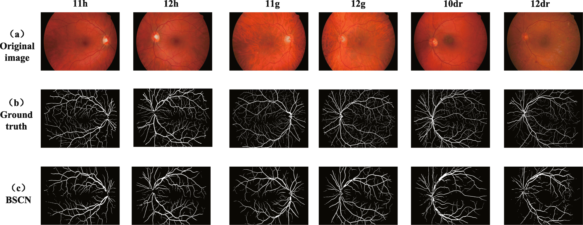 Fig. 14