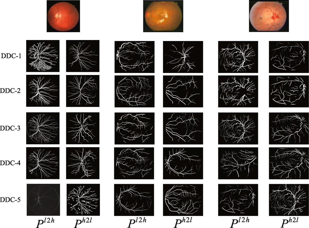 Fig. 5