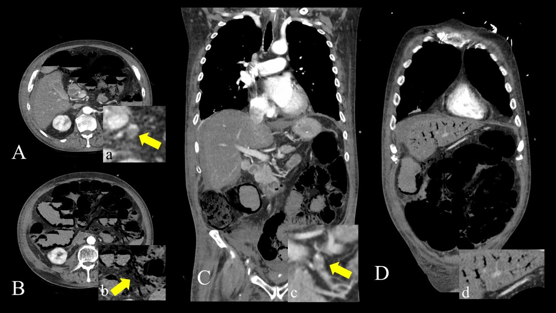 Fig. 5