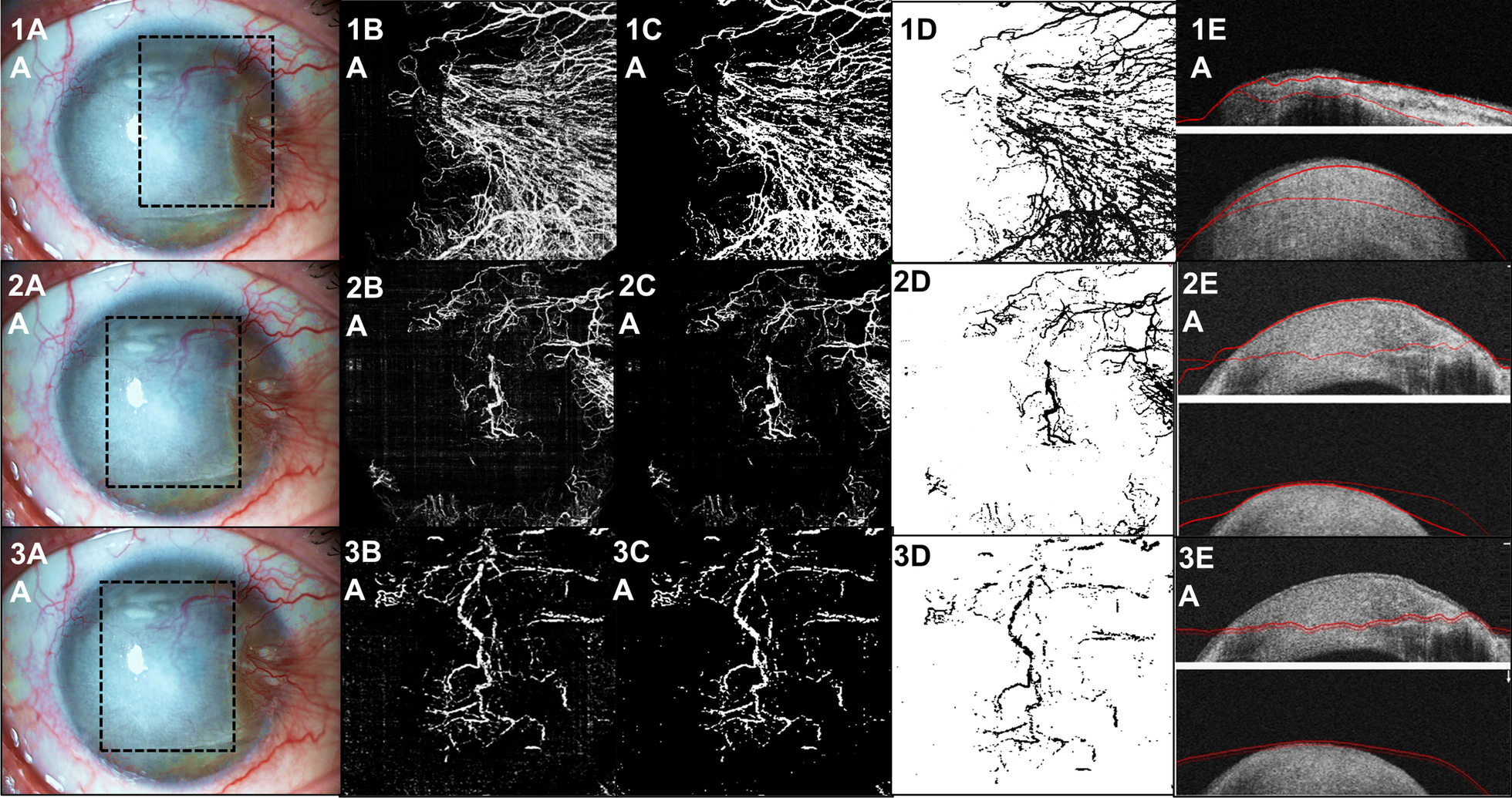 Fig. 5