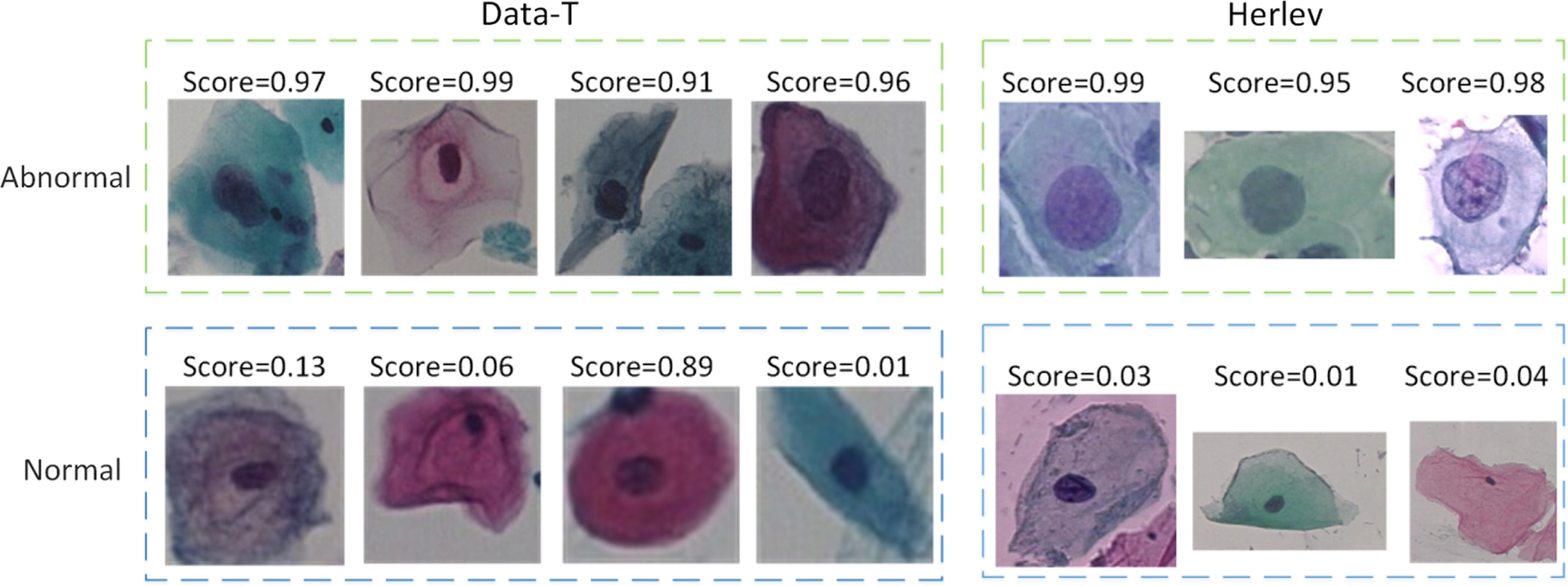 Fig. 10