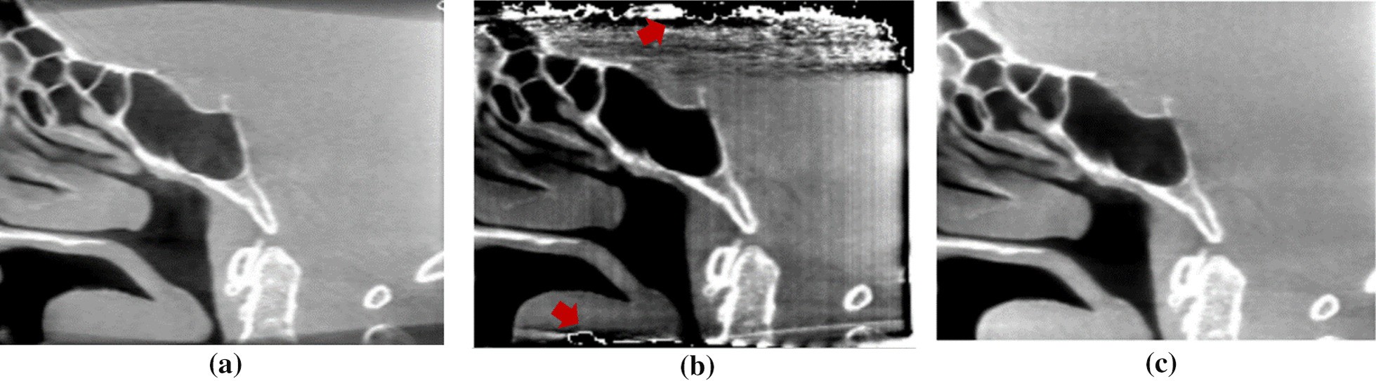 Fig. 13