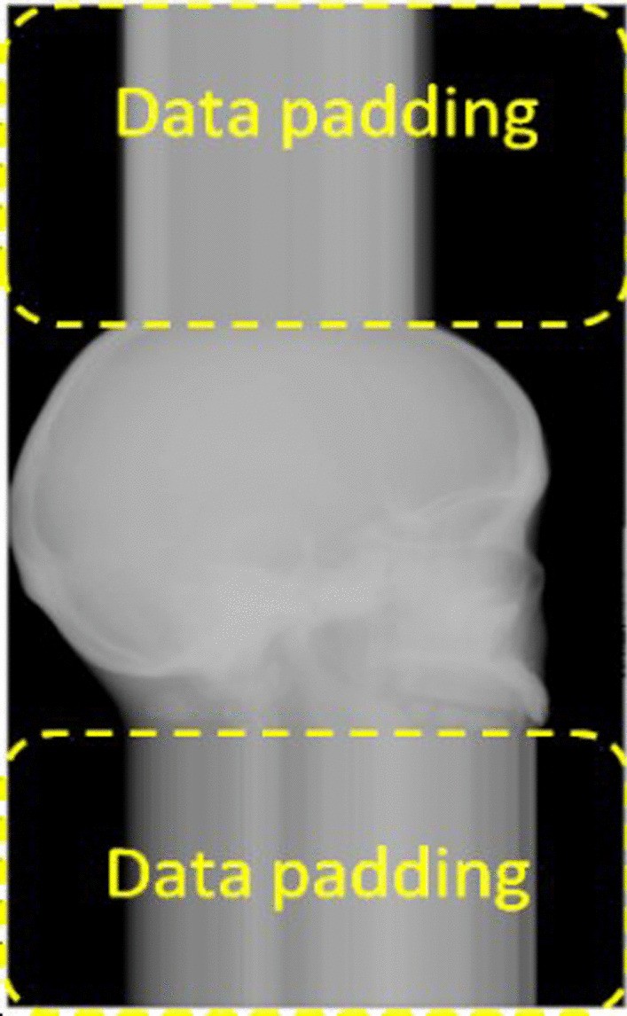 Fig. 6