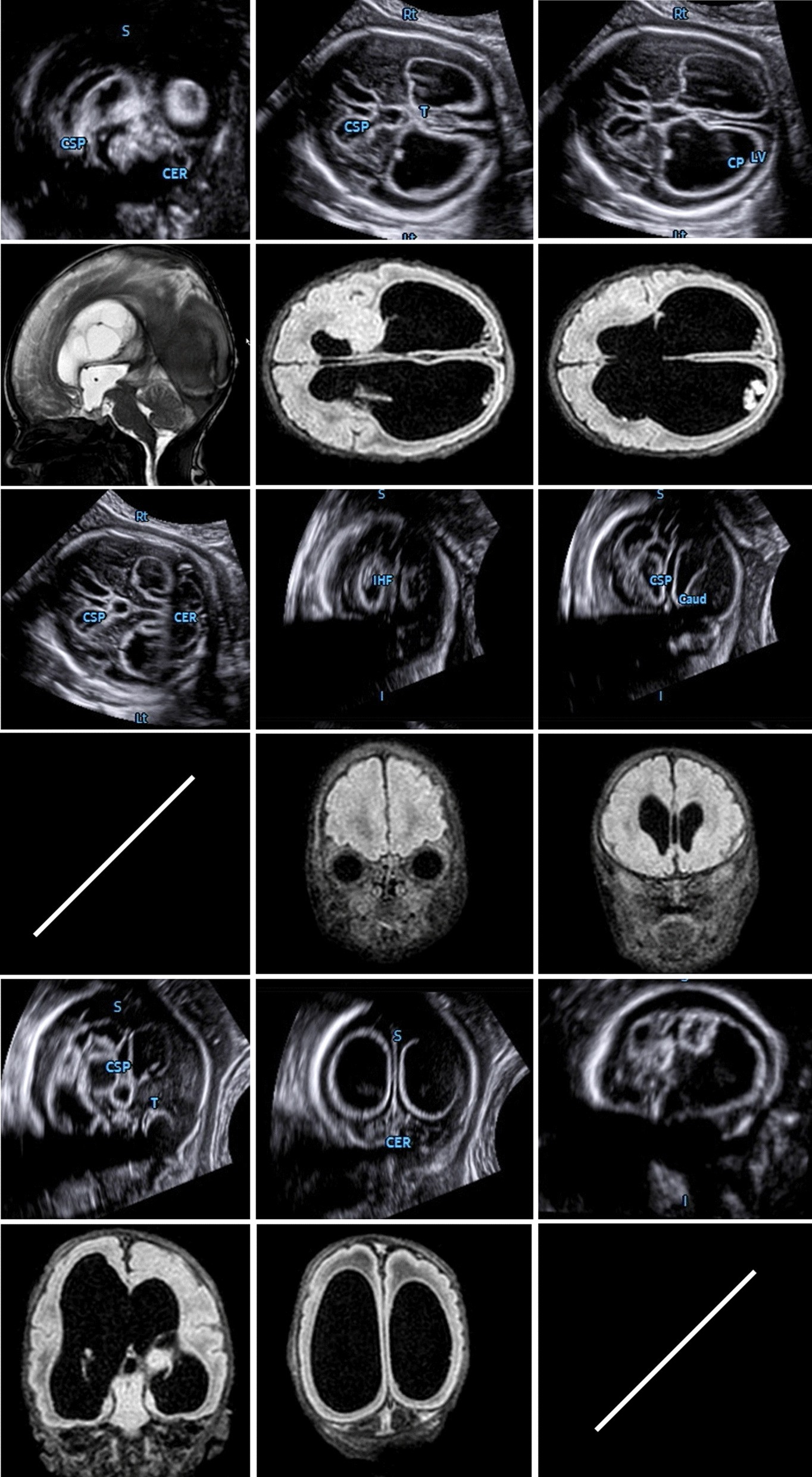 Fig. 5