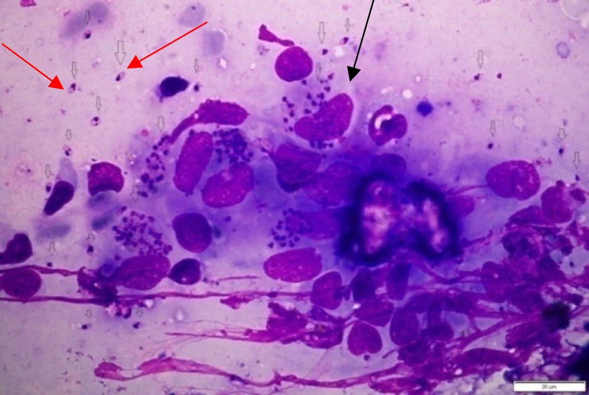 Fig. 1