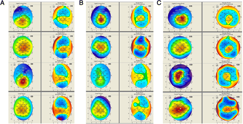 Fig. 3