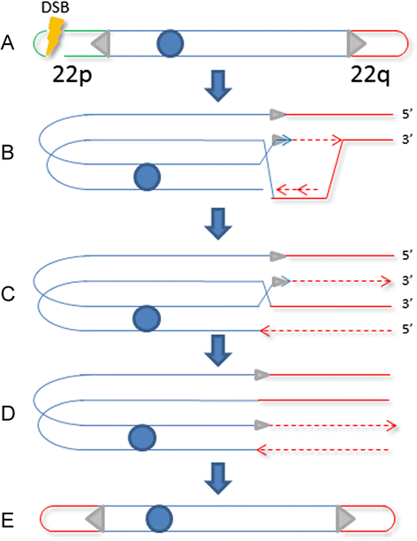 Fig. 5