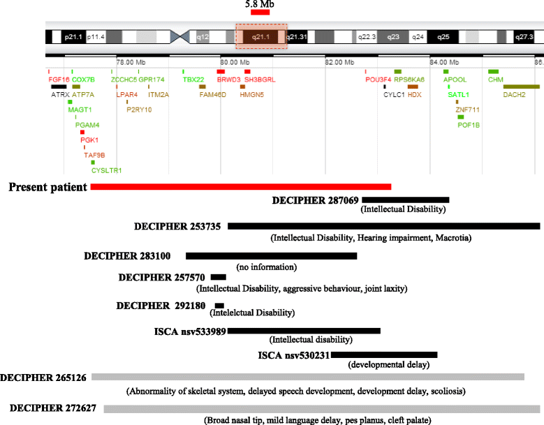 Fig. 4