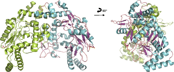 Fig. 3