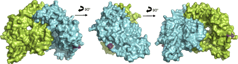 Fig. 4