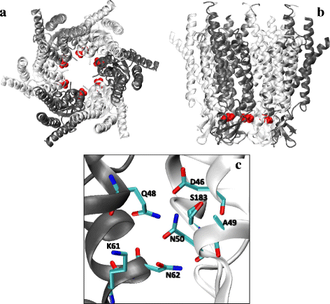 Fig. 4