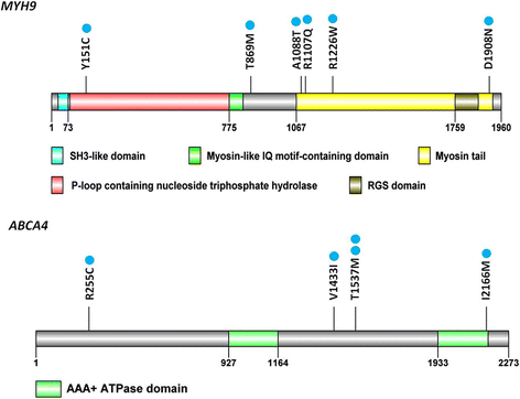 Fig. 2