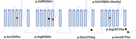 Fig. 3