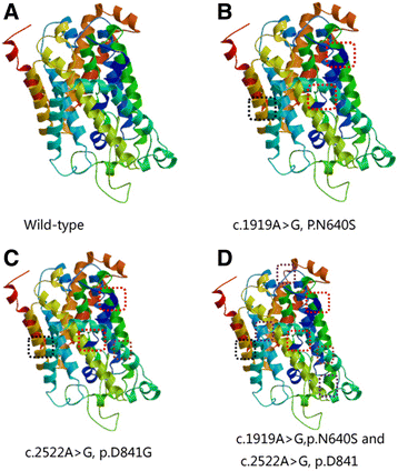 Fig. 5