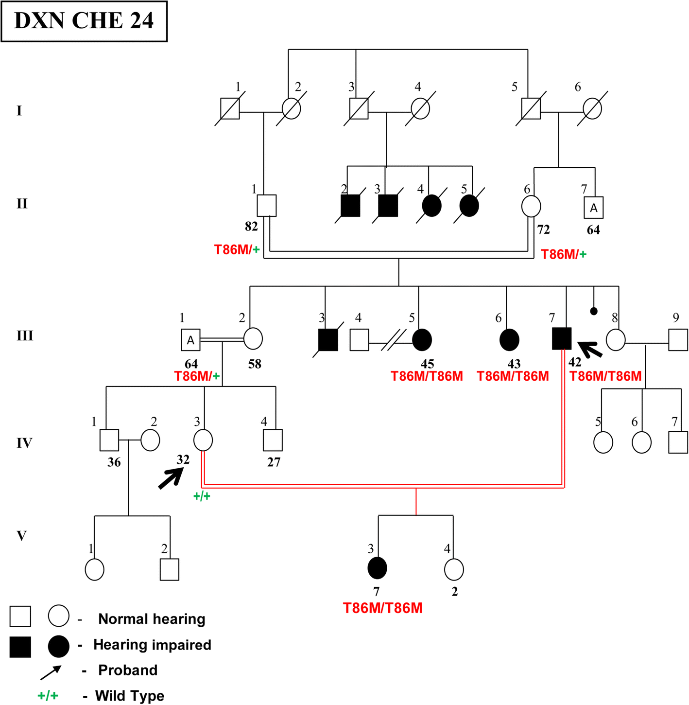 Fig. 9