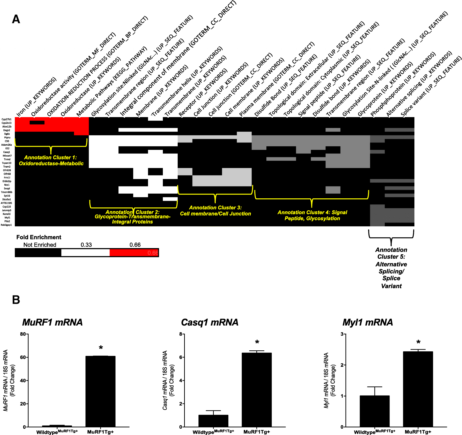 Fig. 5