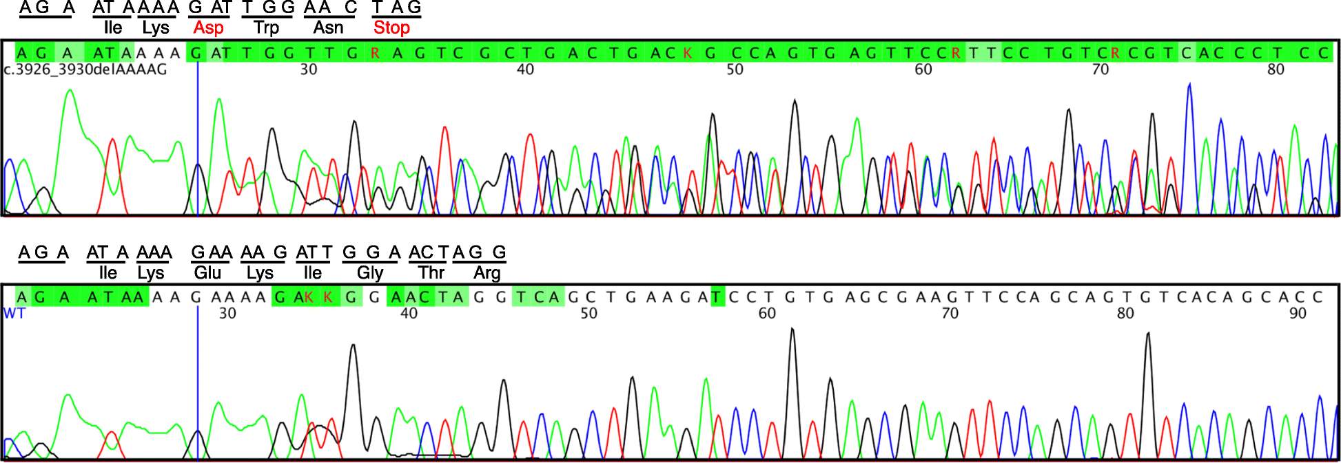 Fig. 3