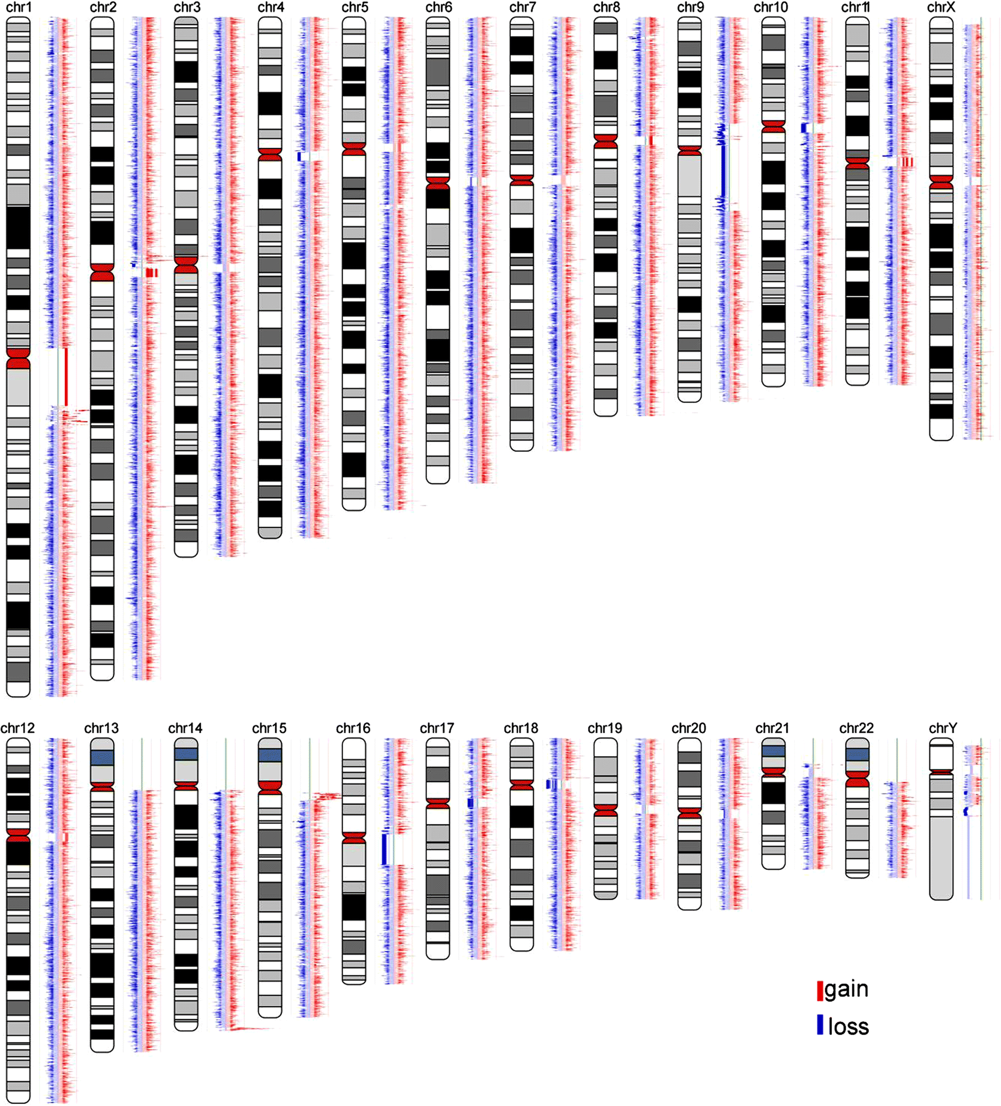 Fig. 5