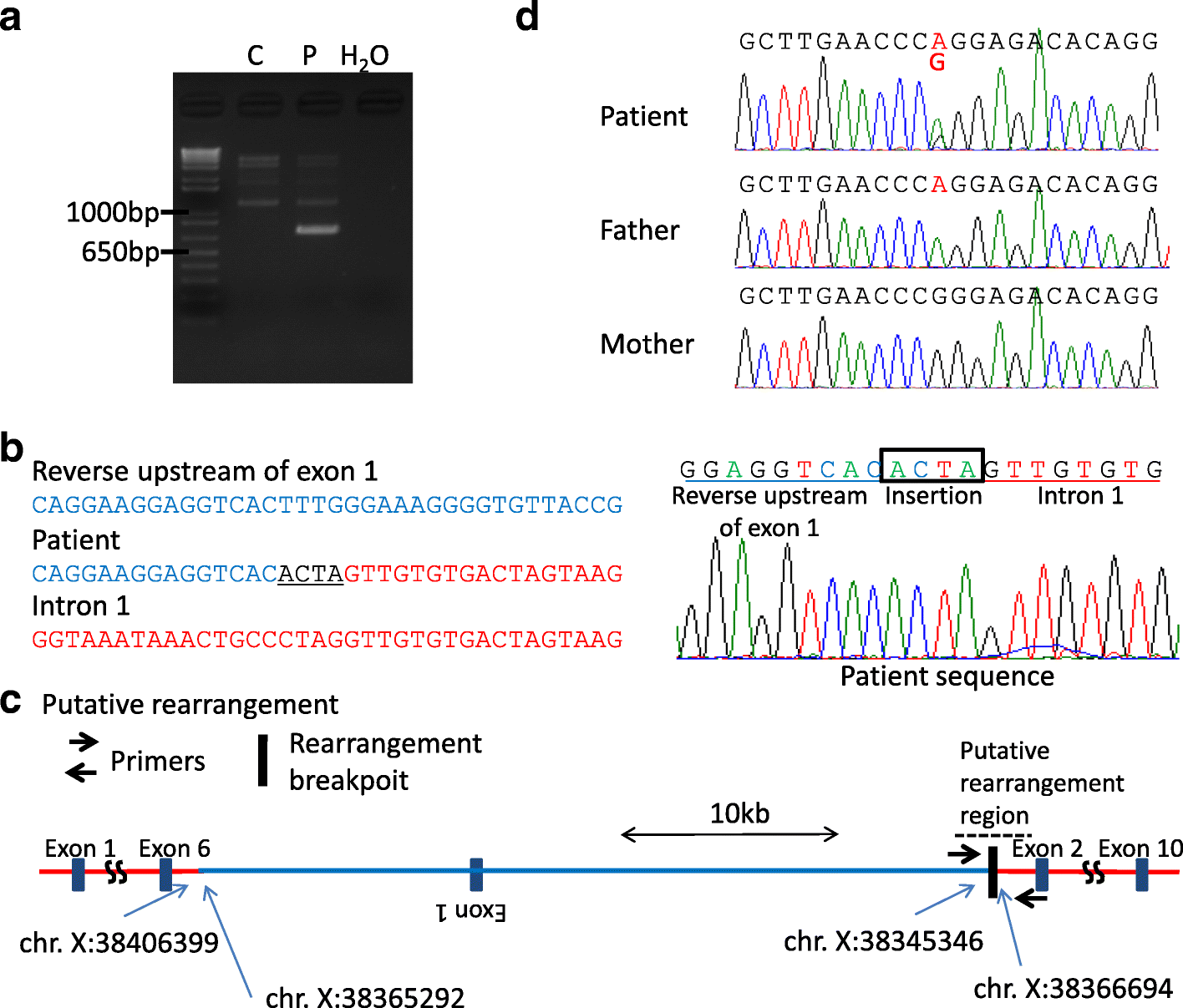 Fig. 3