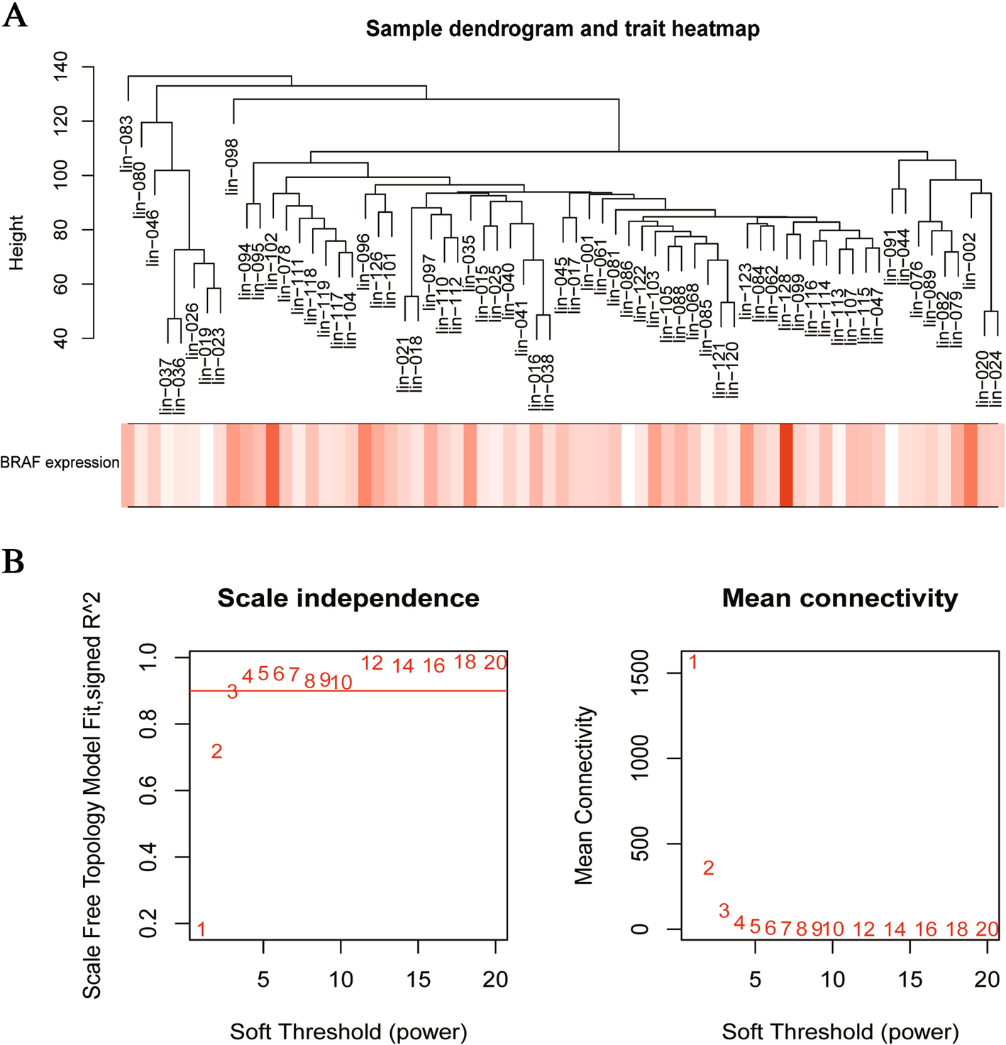 Genes, Free Full-Text