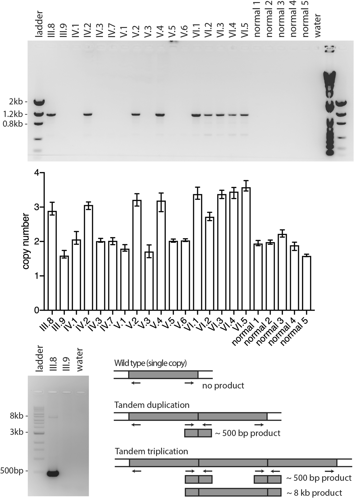 Fig. 3