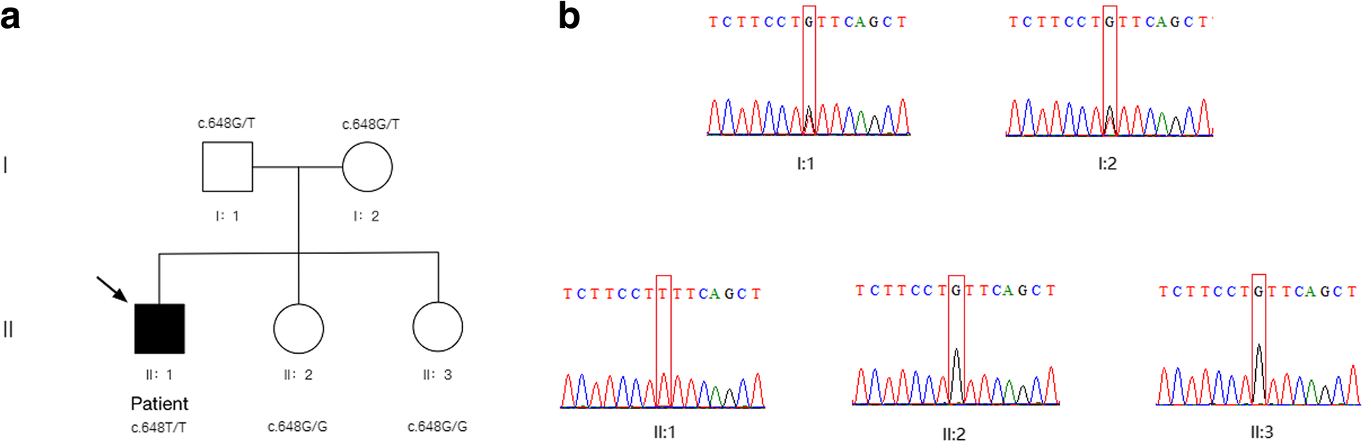 Fig. 3