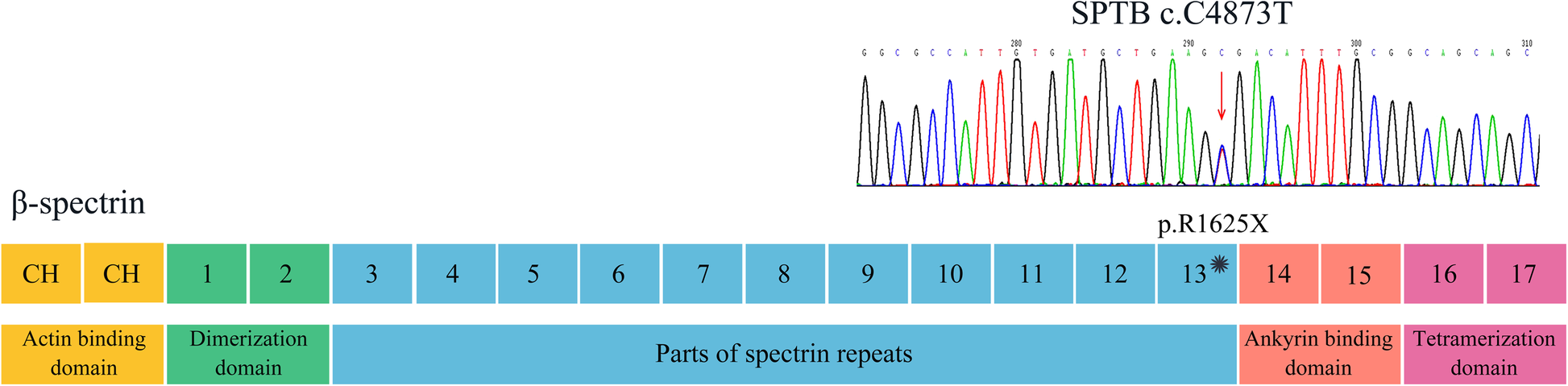 Fig. 2