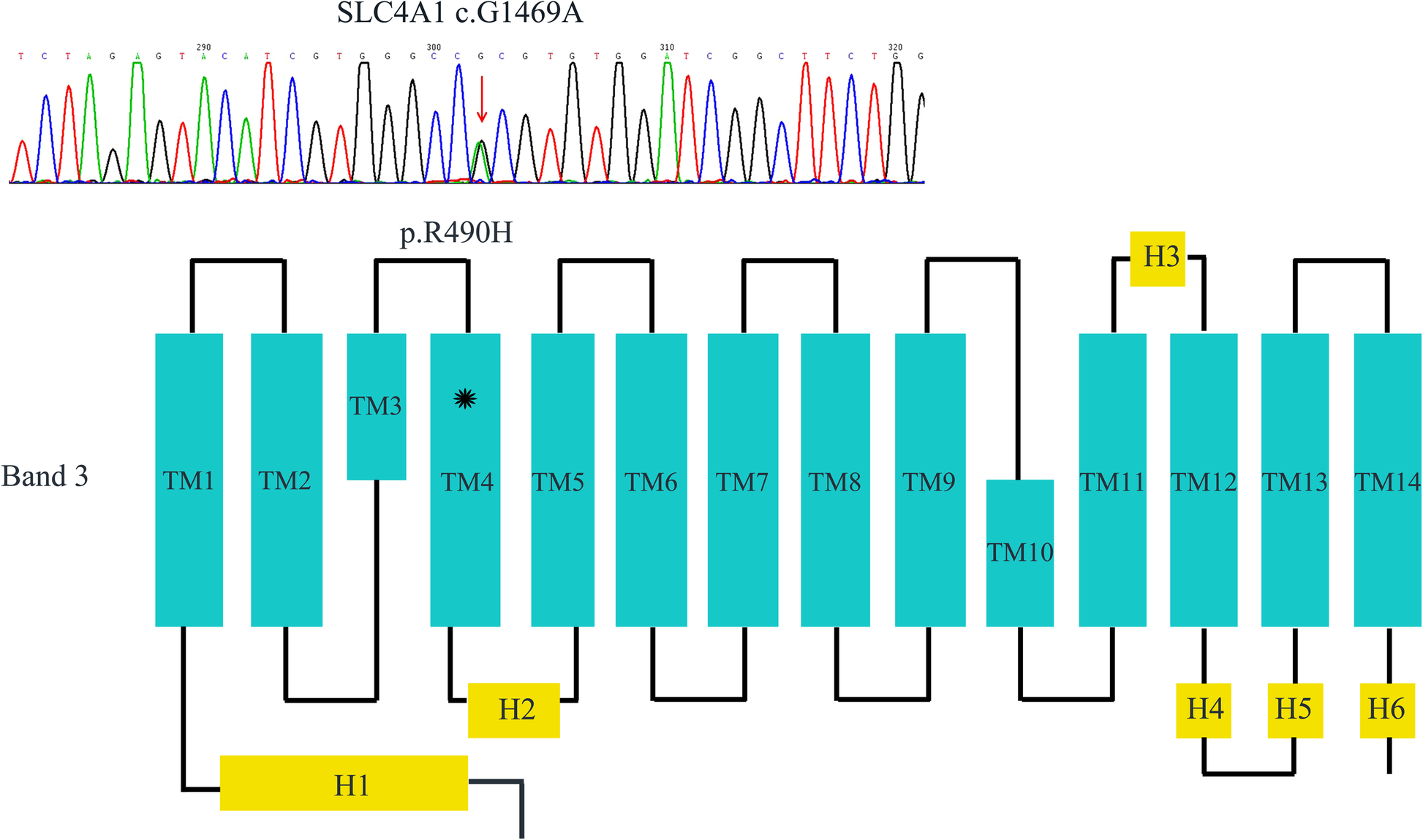 Fig. 3