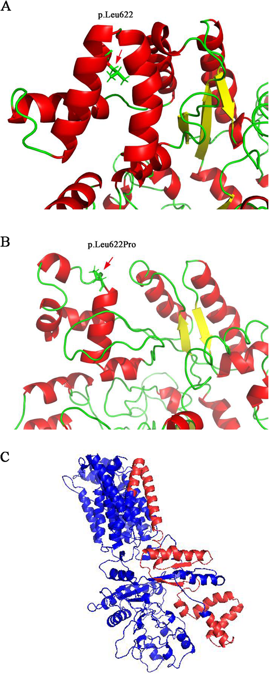 Fig. 2