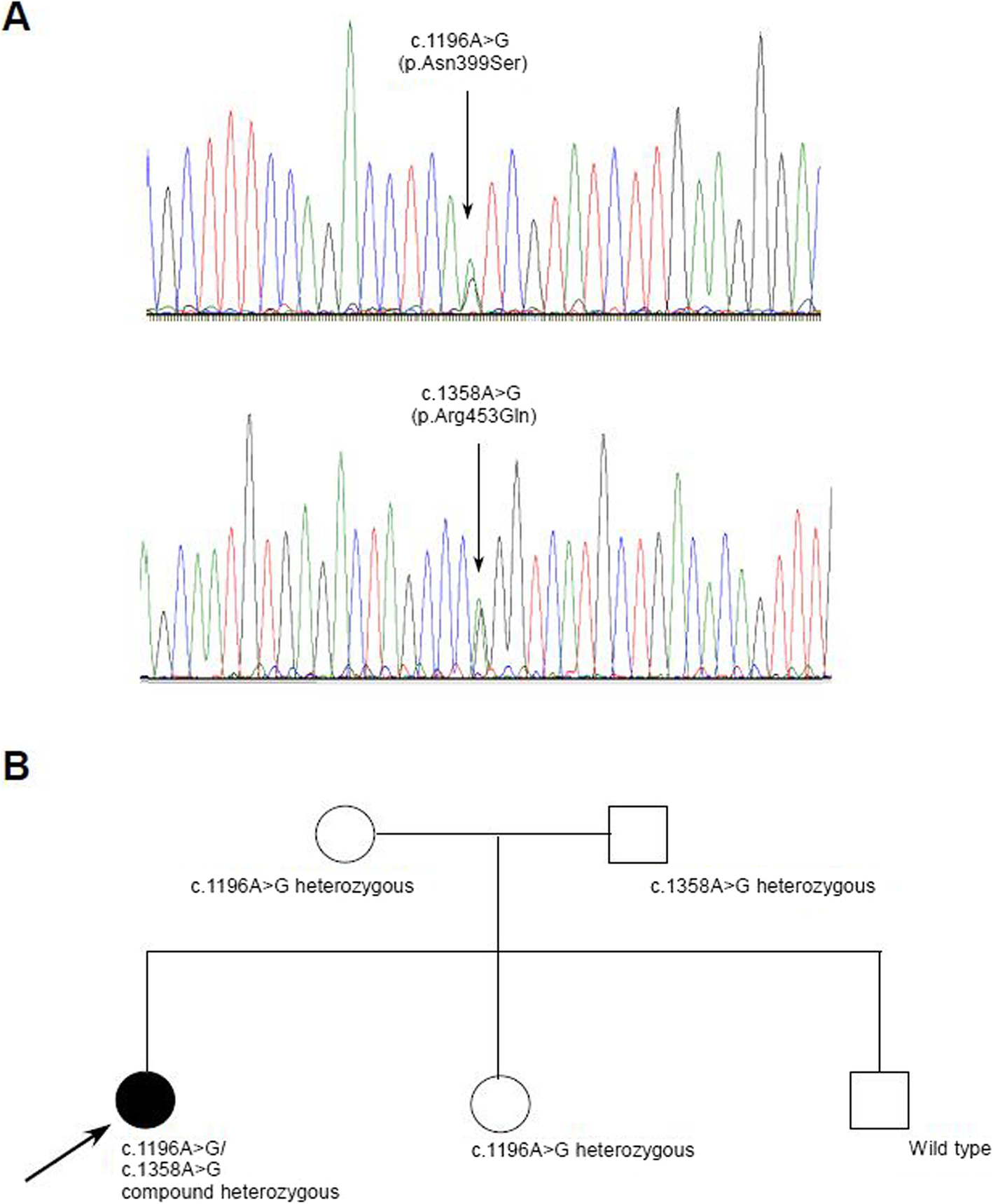 Fig. 4