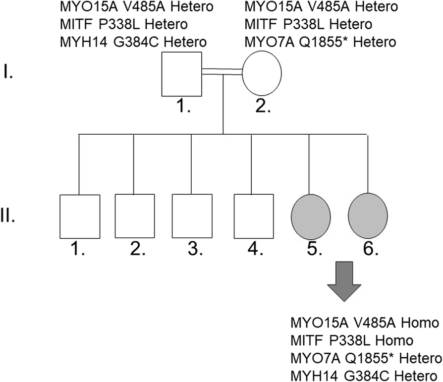 Fig. 1